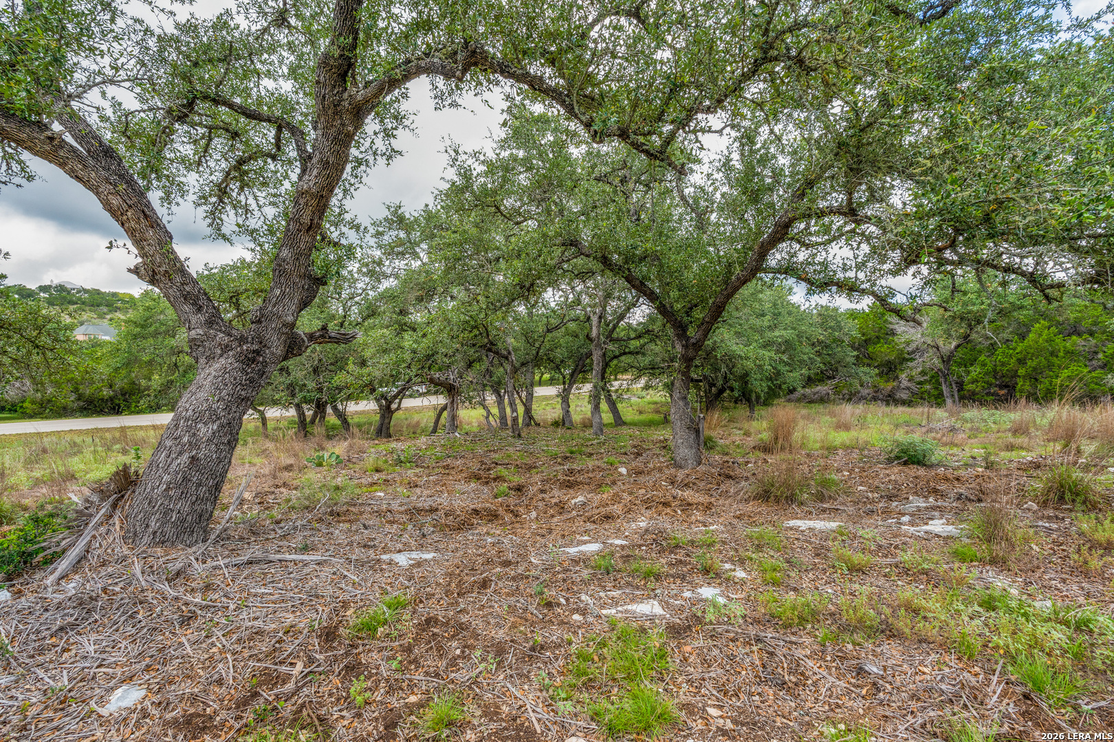 TBD Cibolo Drive