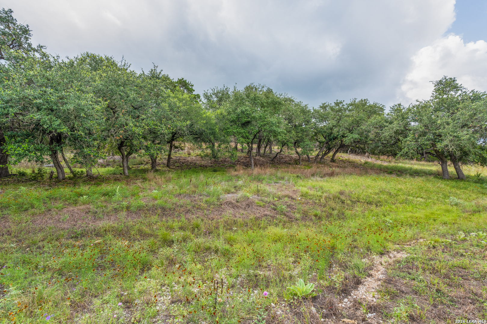 TBD Cibolo Drive