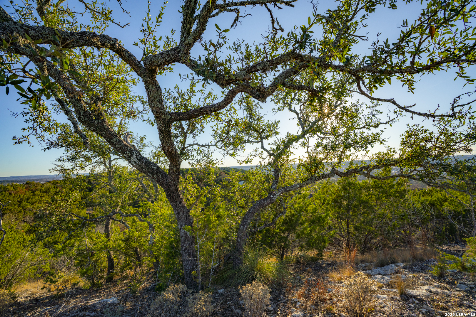 0 Cypress Creek Road