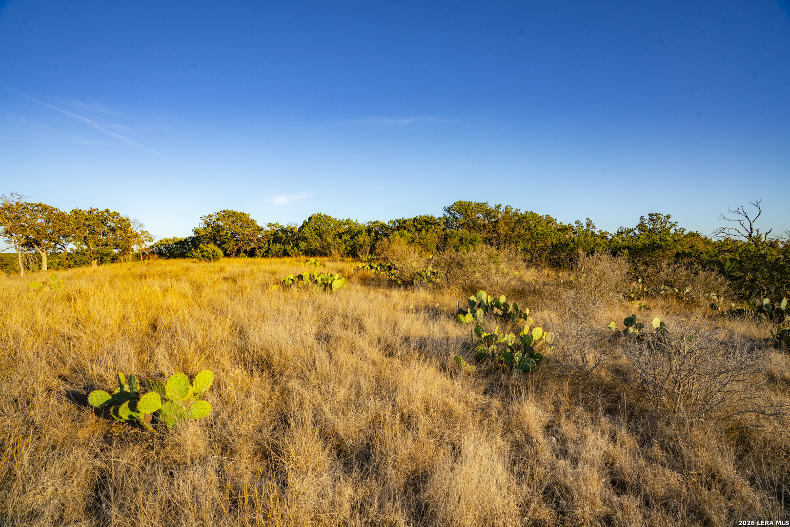 0 Cypress Creek Road