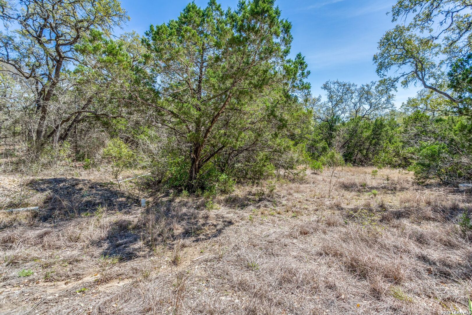 18561 Bandera Rd