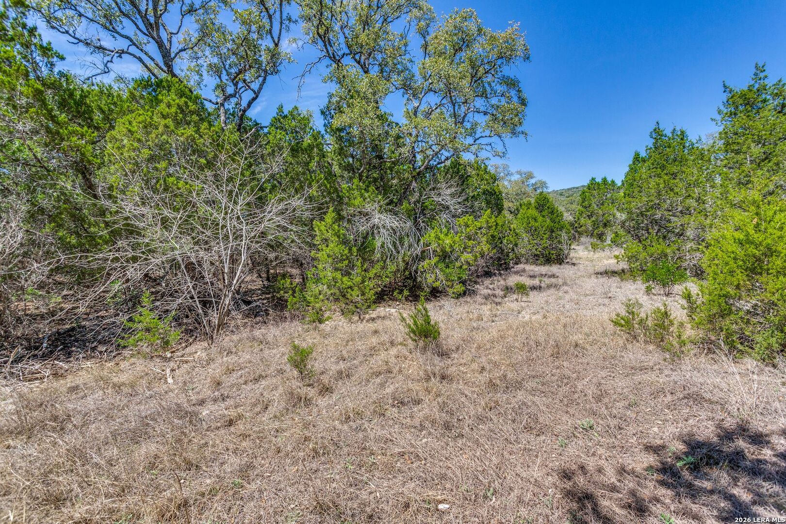 18561 Bandera Rd