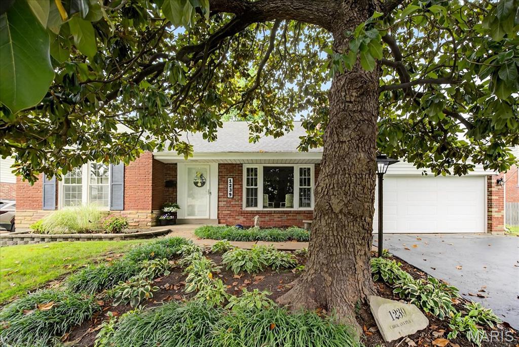 1239 Carol Ann Place