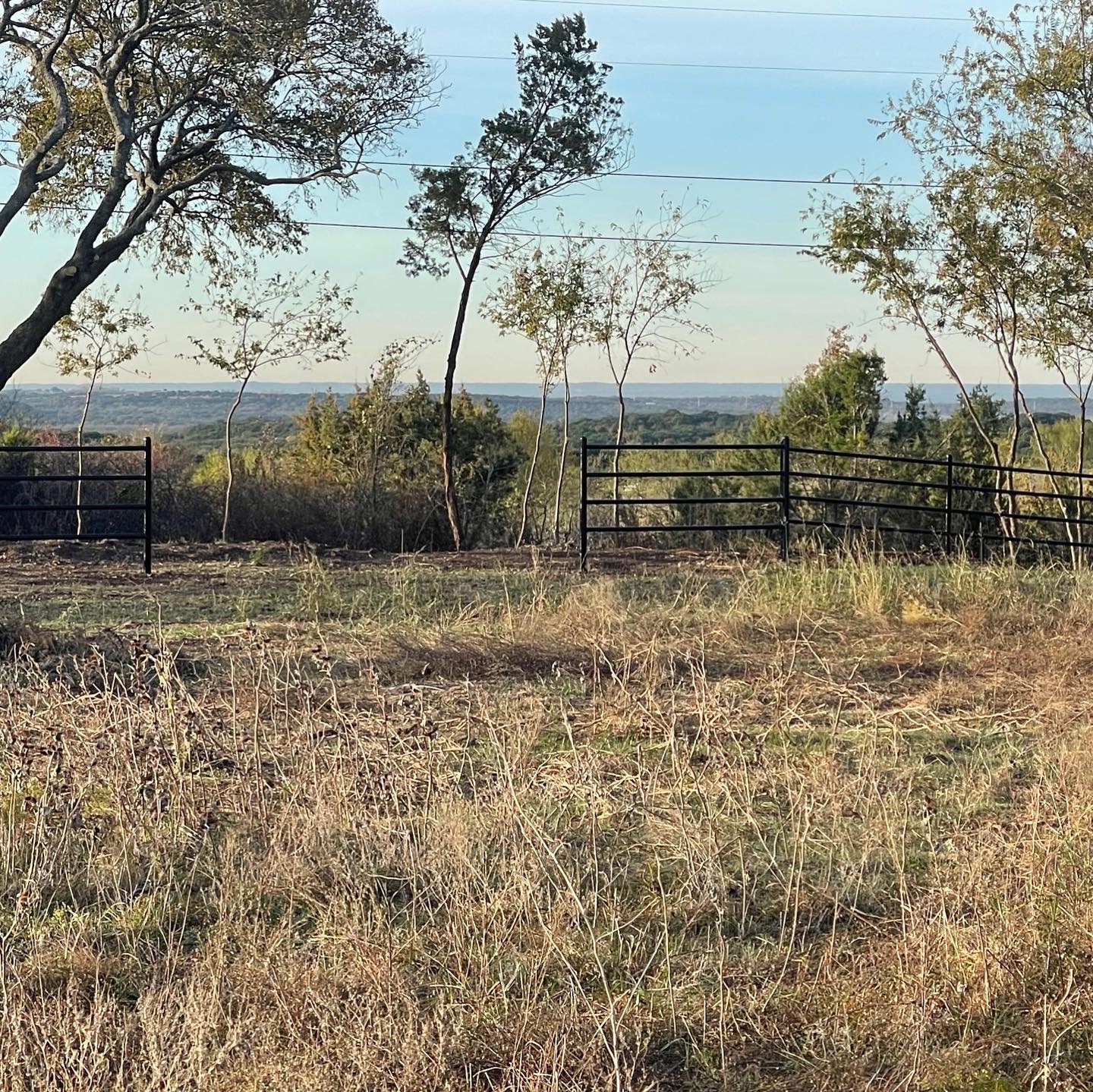 TBD County Road 1131 5