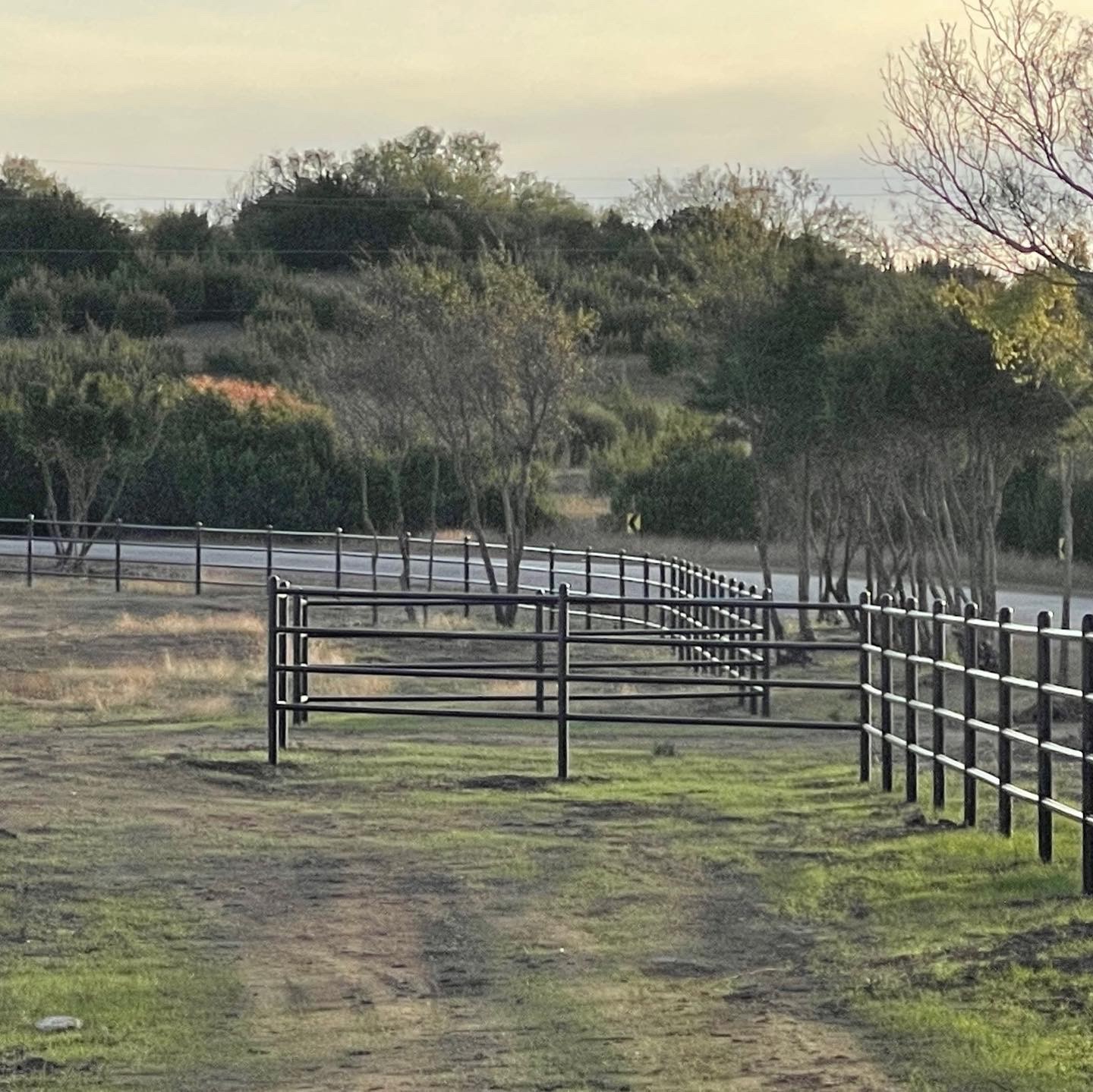 TBD County Road 1131 5