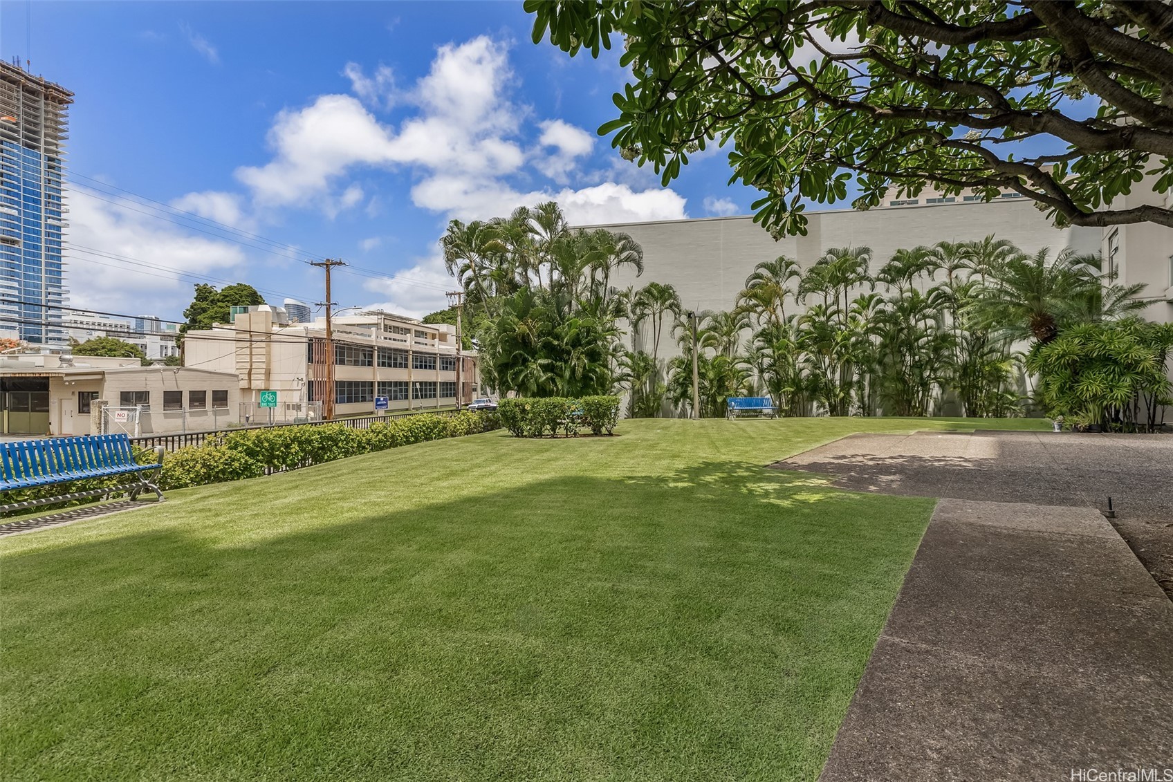 1448 Young Street 304