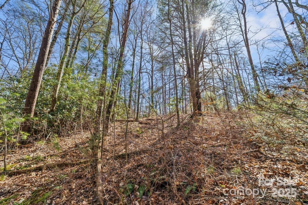 99999 Mill Road Unit: 2