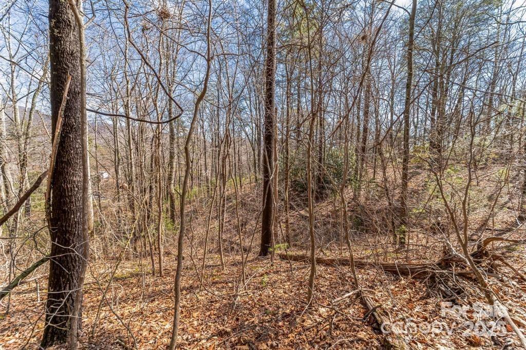 99999 Mill Road Unit: 2