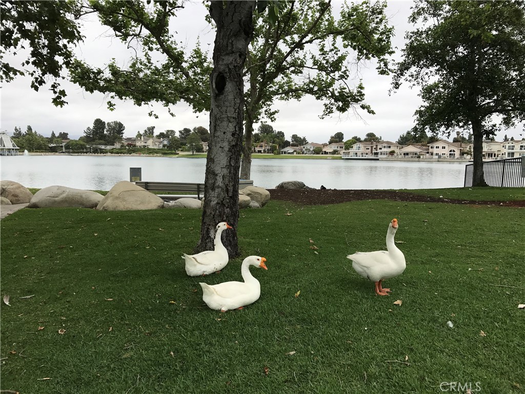 4 Lakeview