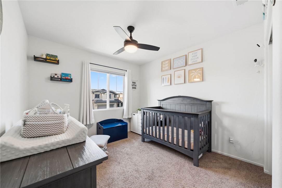 41250 Winterberry Street