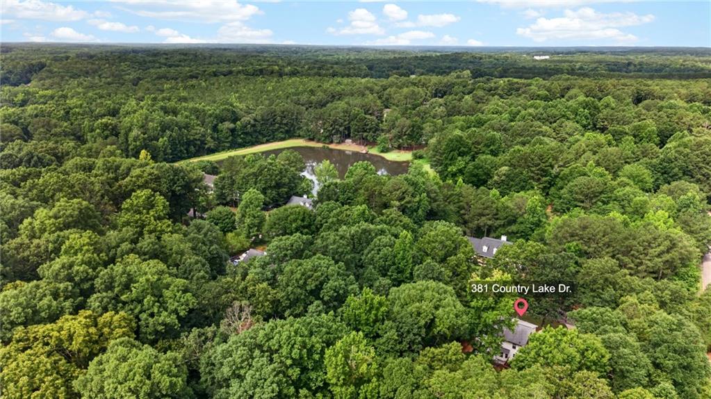 381 Country Lake Drive
