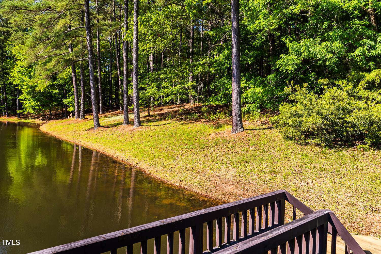 10305 Old Creedmoor Road