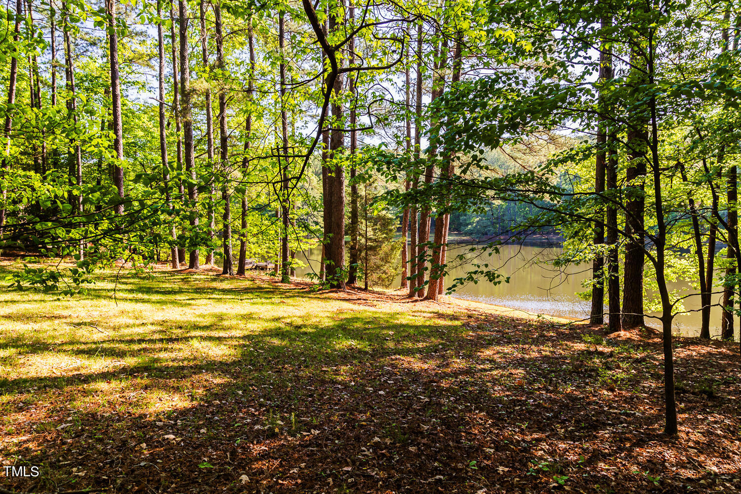 10305 Old Creedmoor Road