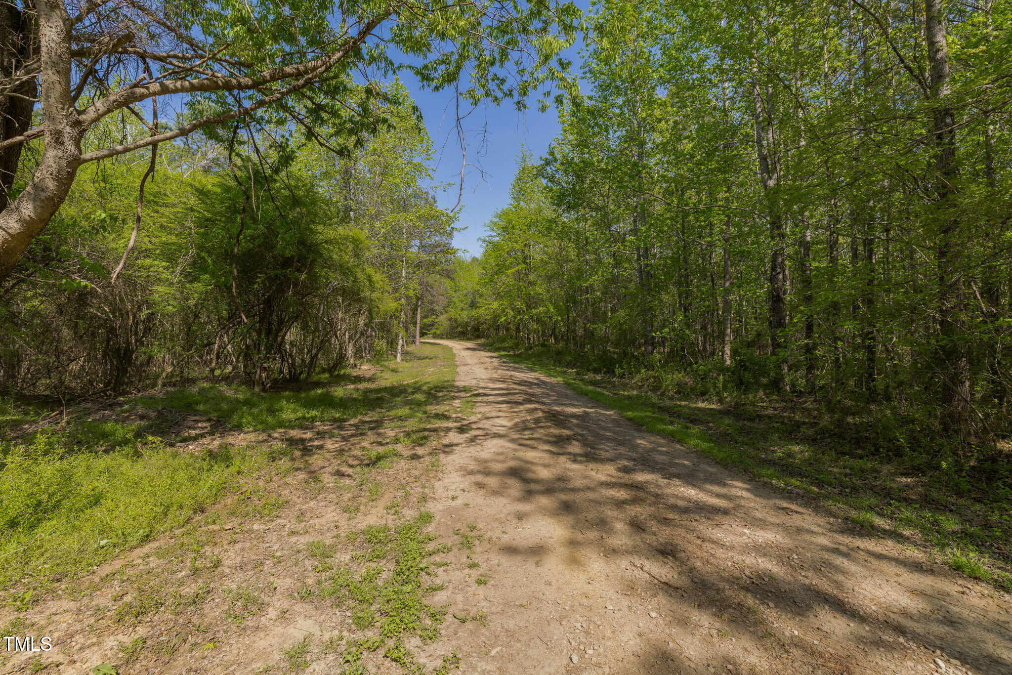 435 Salt And Light Lane
