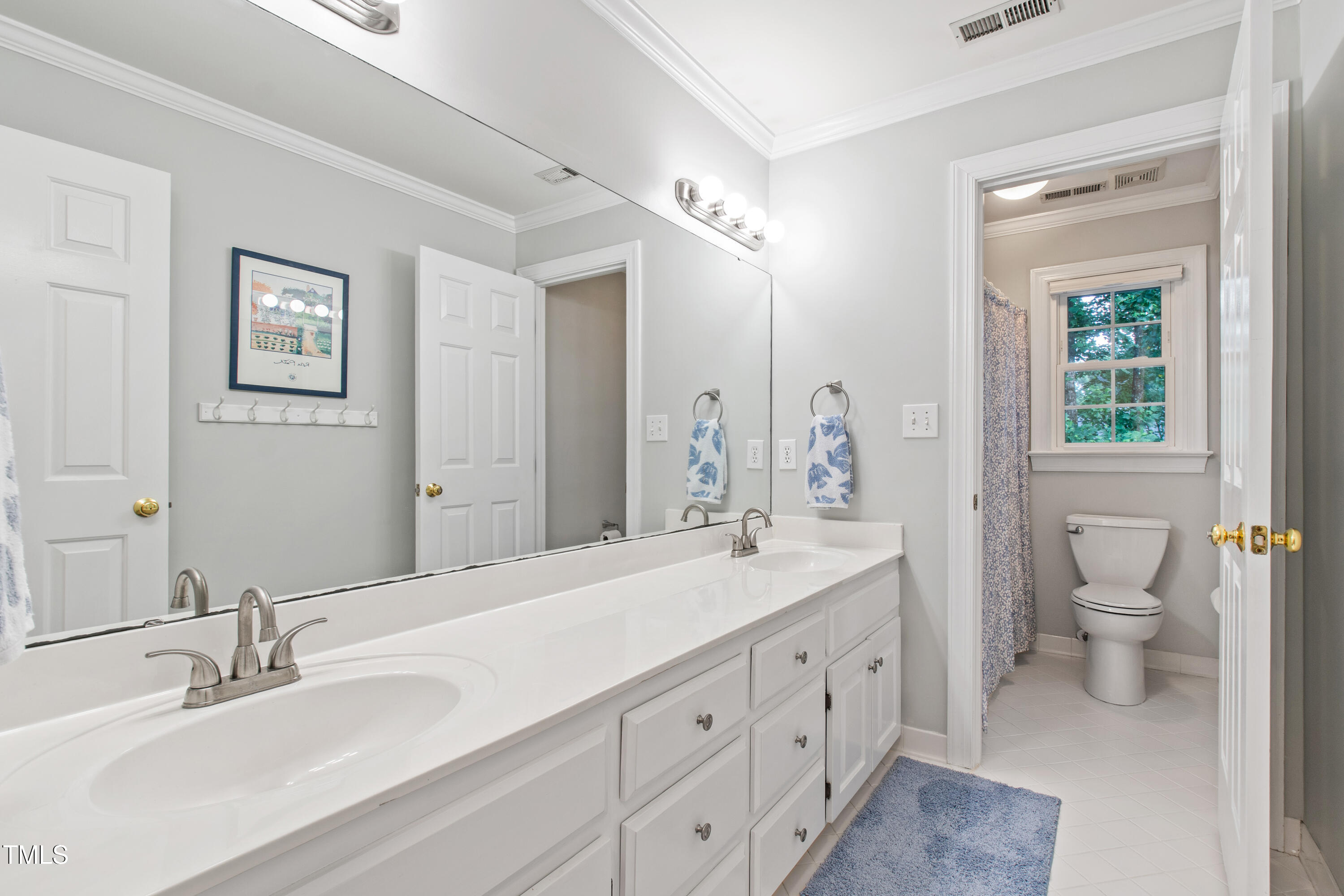 4309 Omni Place, Raleigh