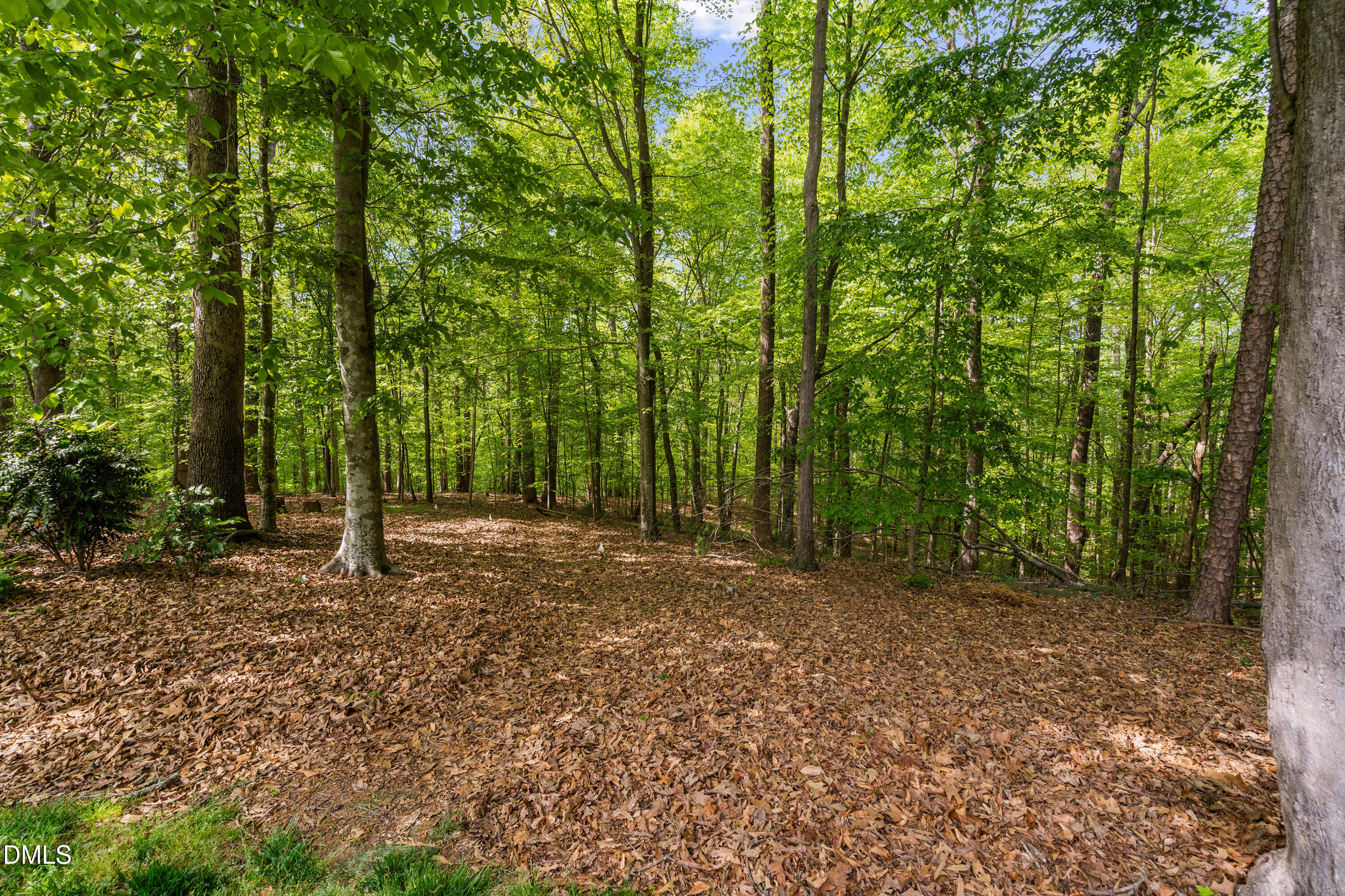 1301 Woodmanor Drive