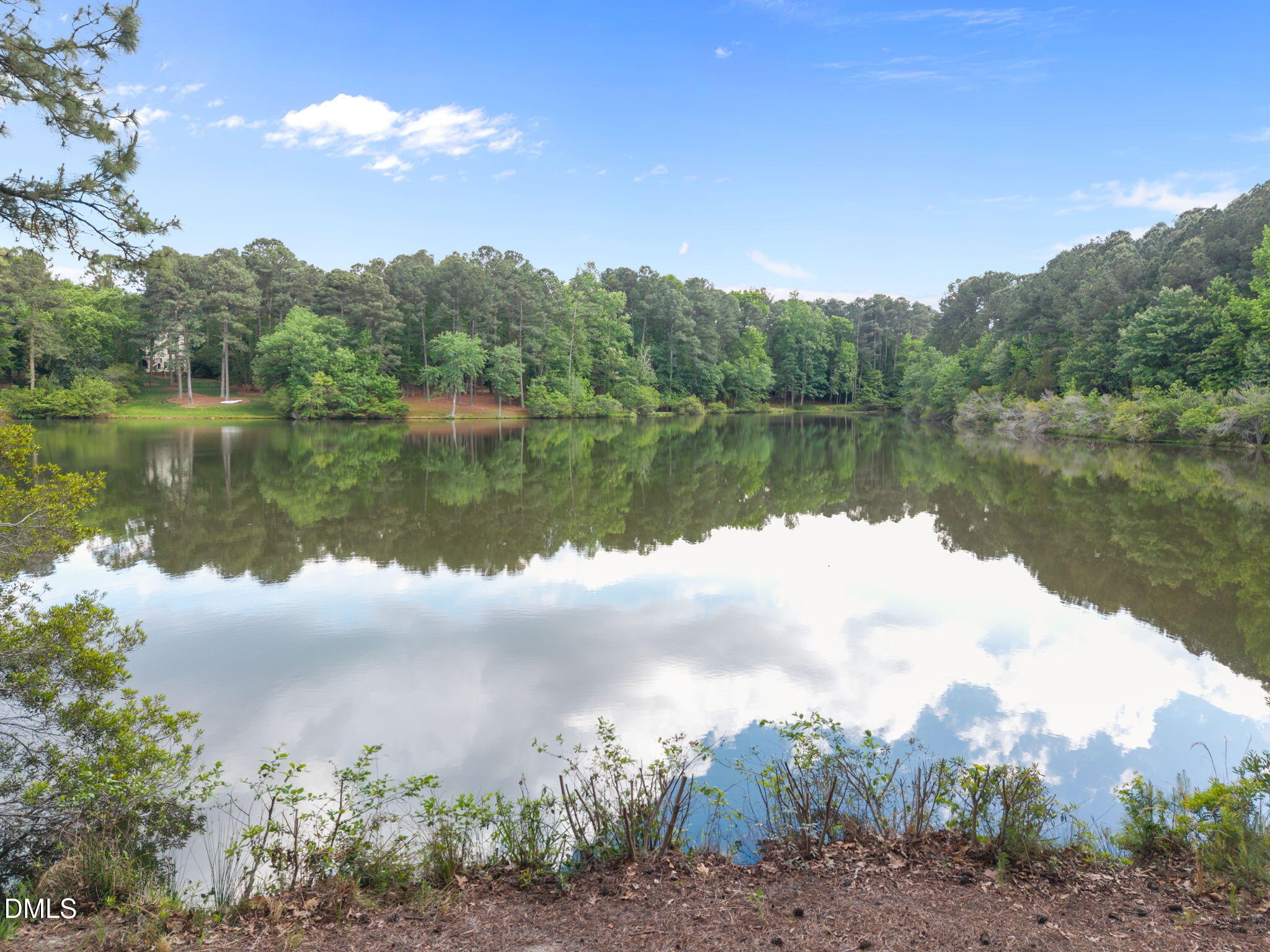 1017 Bearglades Lane
