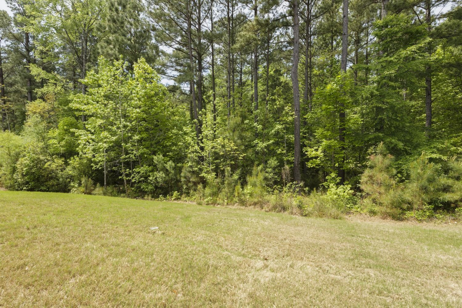 229 Ellisview Drive