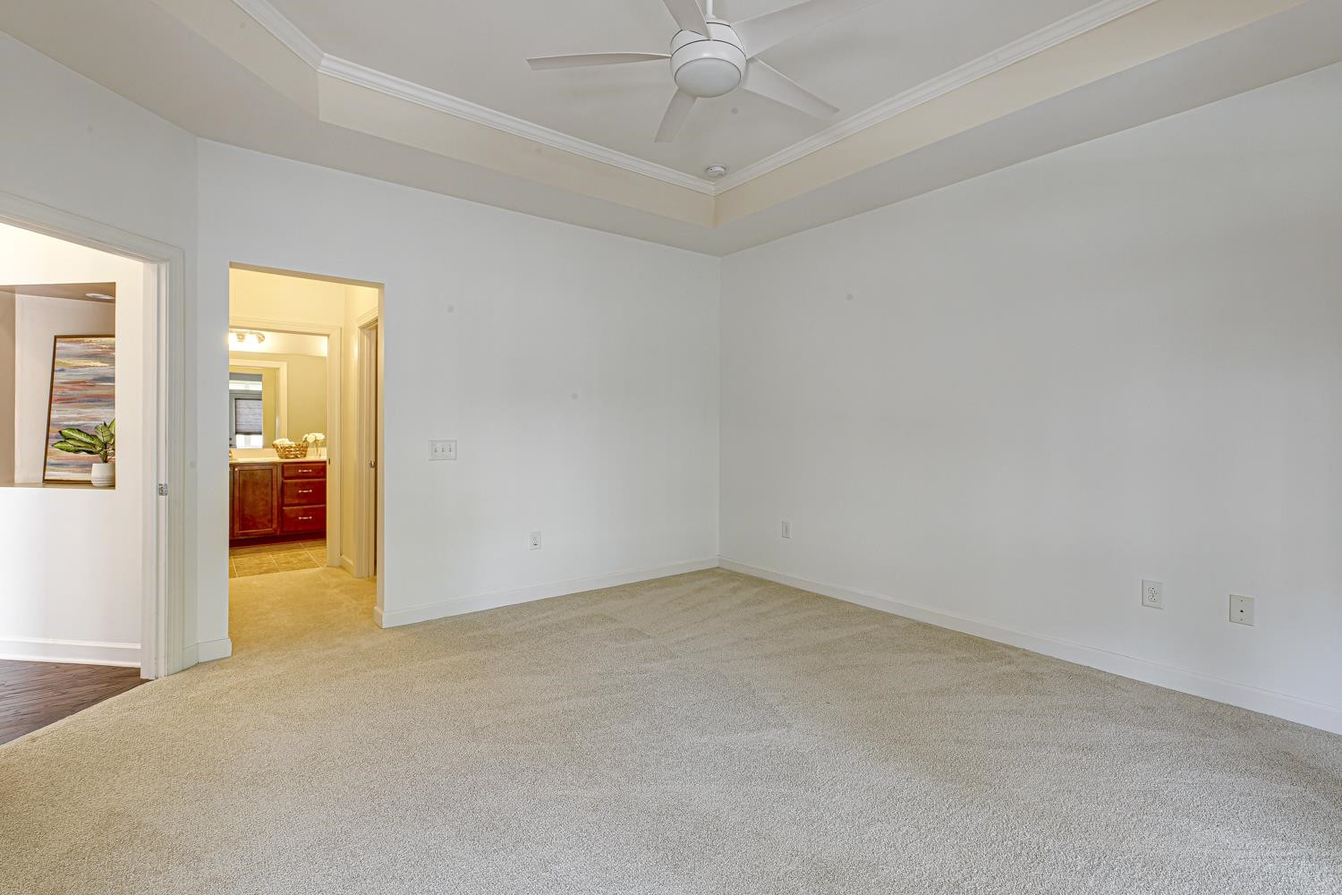 229 Ellisview Drive