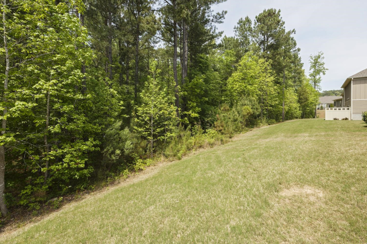 229 Ellisview Drive