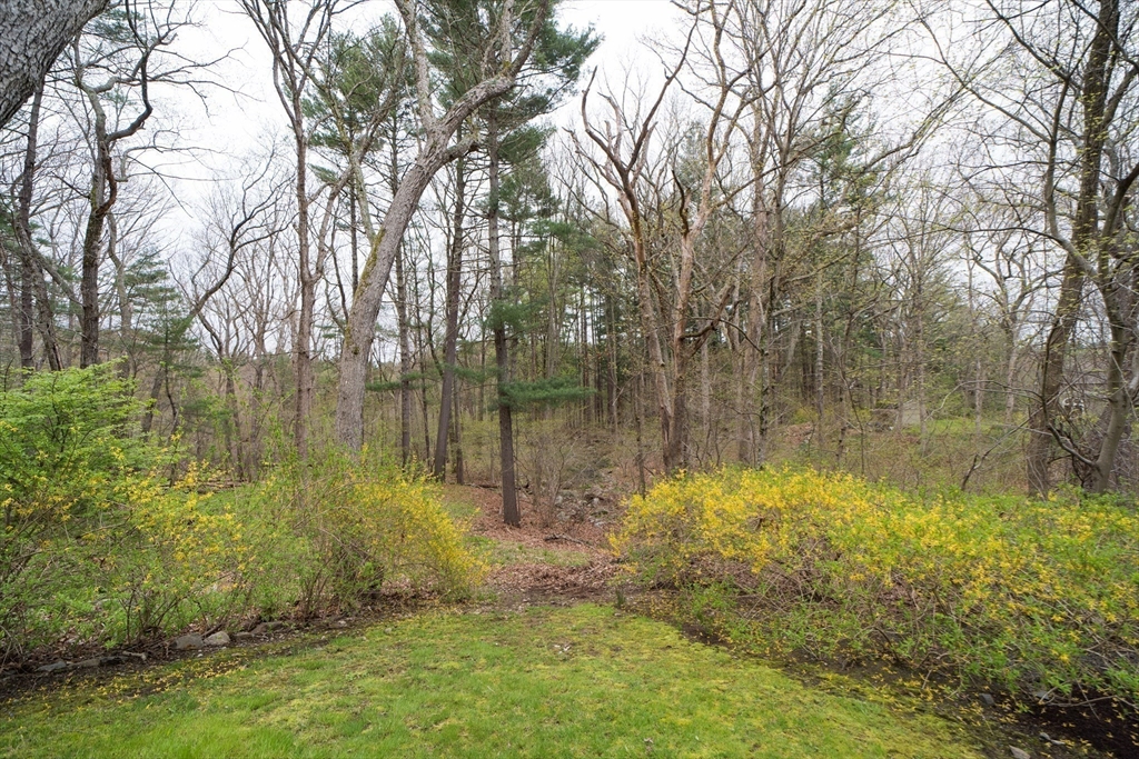 25 Lee Rd