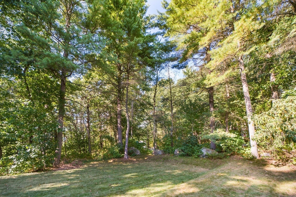 4 Deerfield Dr
