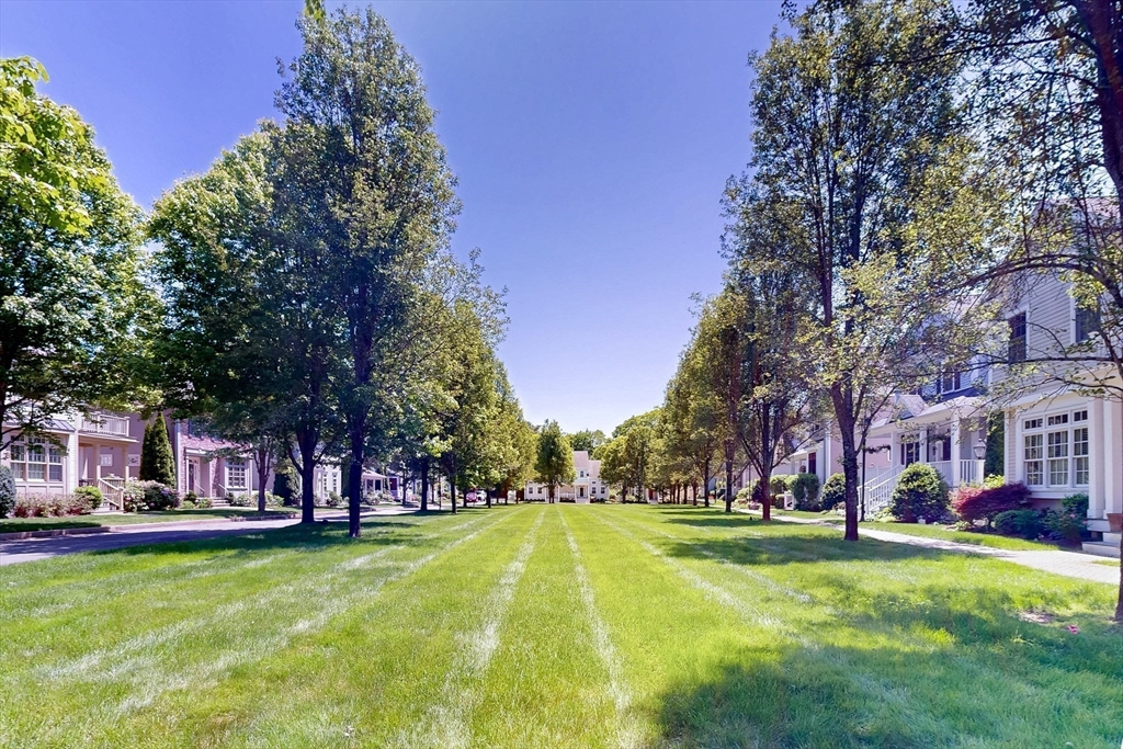 5 Maple St # 5