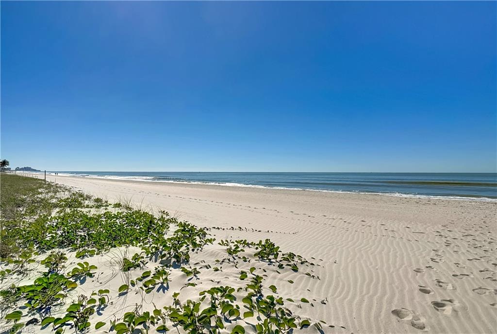 10851 Gulf Shore DR 1004