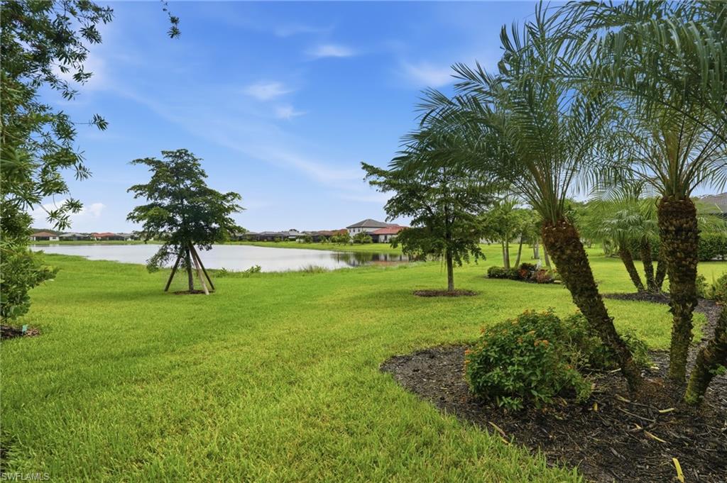 11306 Shady Lake RUN