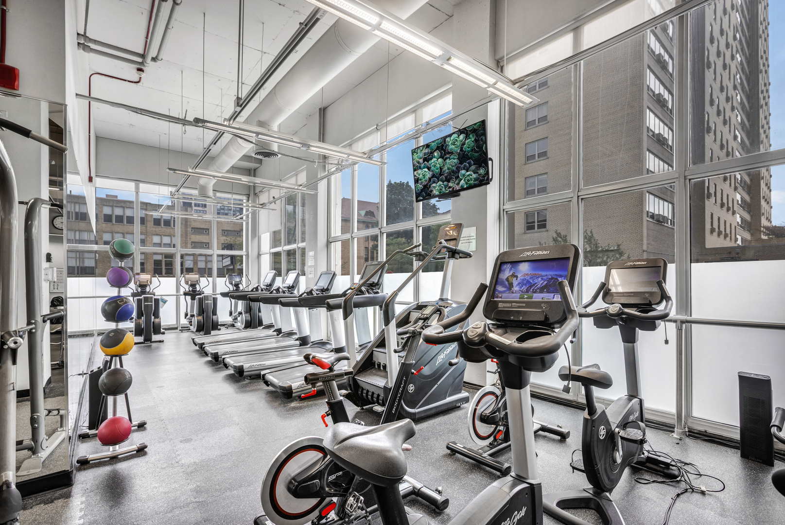 655 W Irving Park Road Unit: 4313