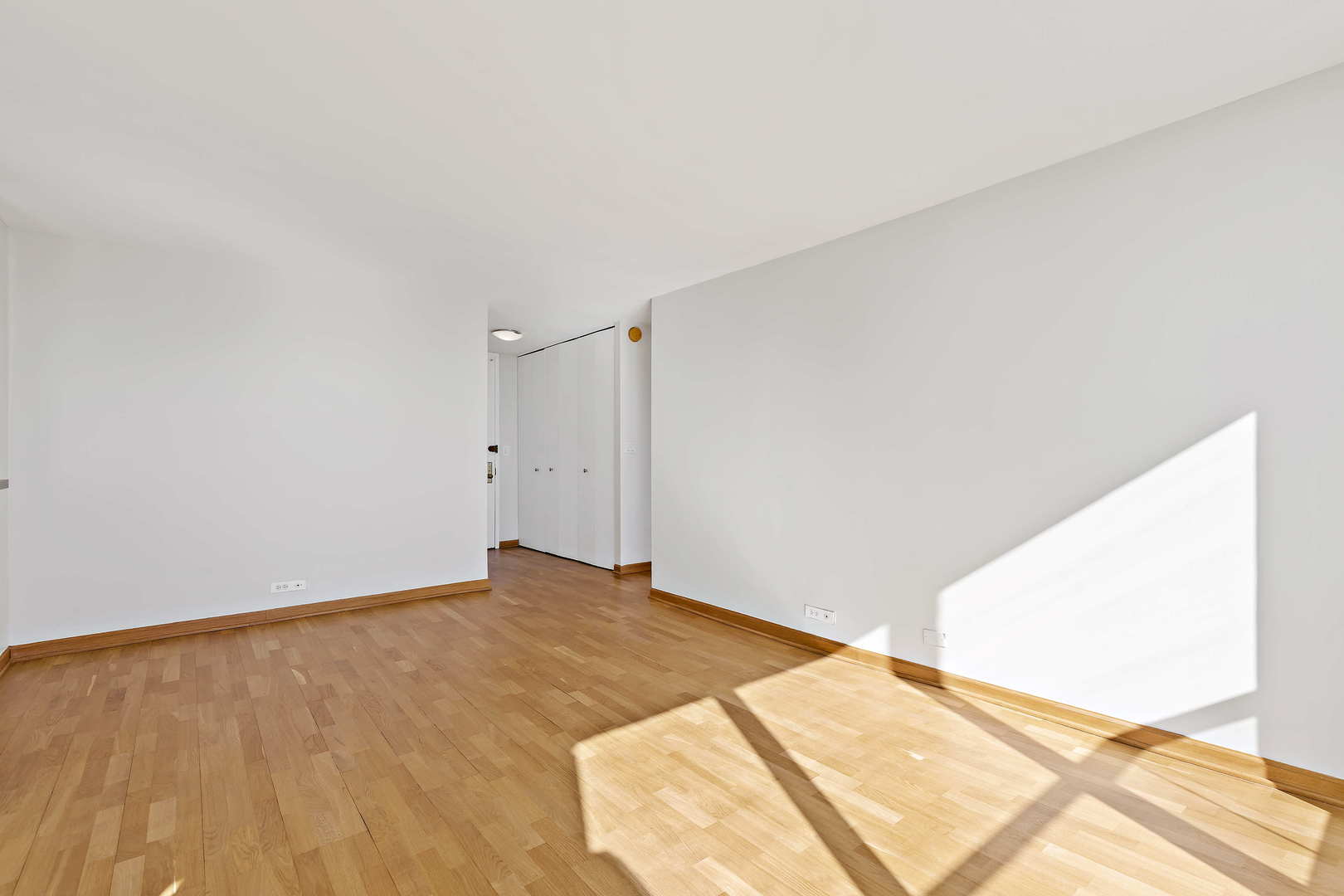 655 W Irving Park Road Unit: 4313