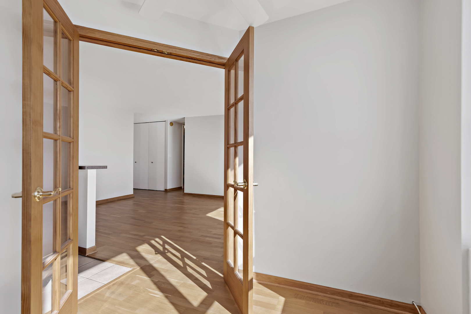 655 W Irving Park Road Unit: 4313