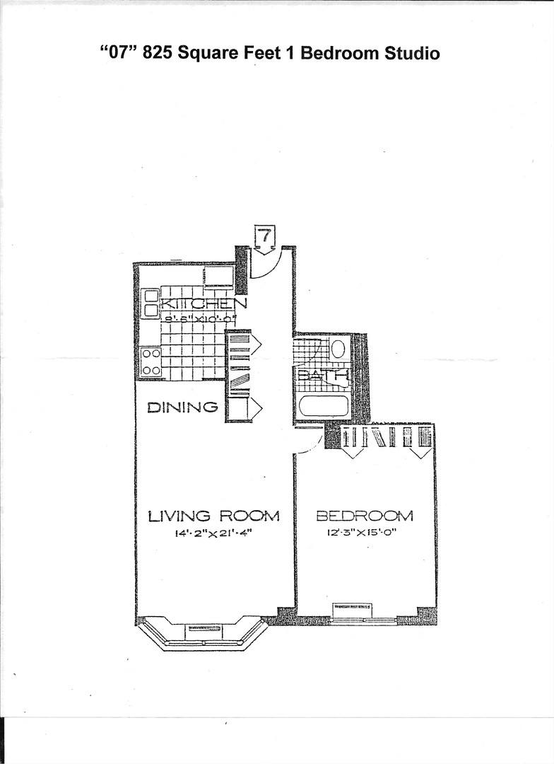 899 S Plymouth Court Unit: 1007