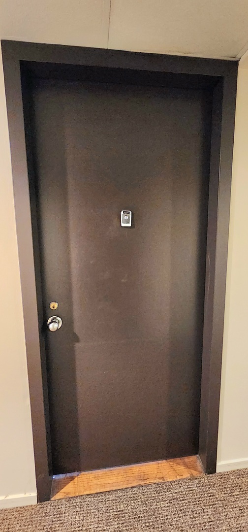 899 S Plymouth Court Unit: 1007