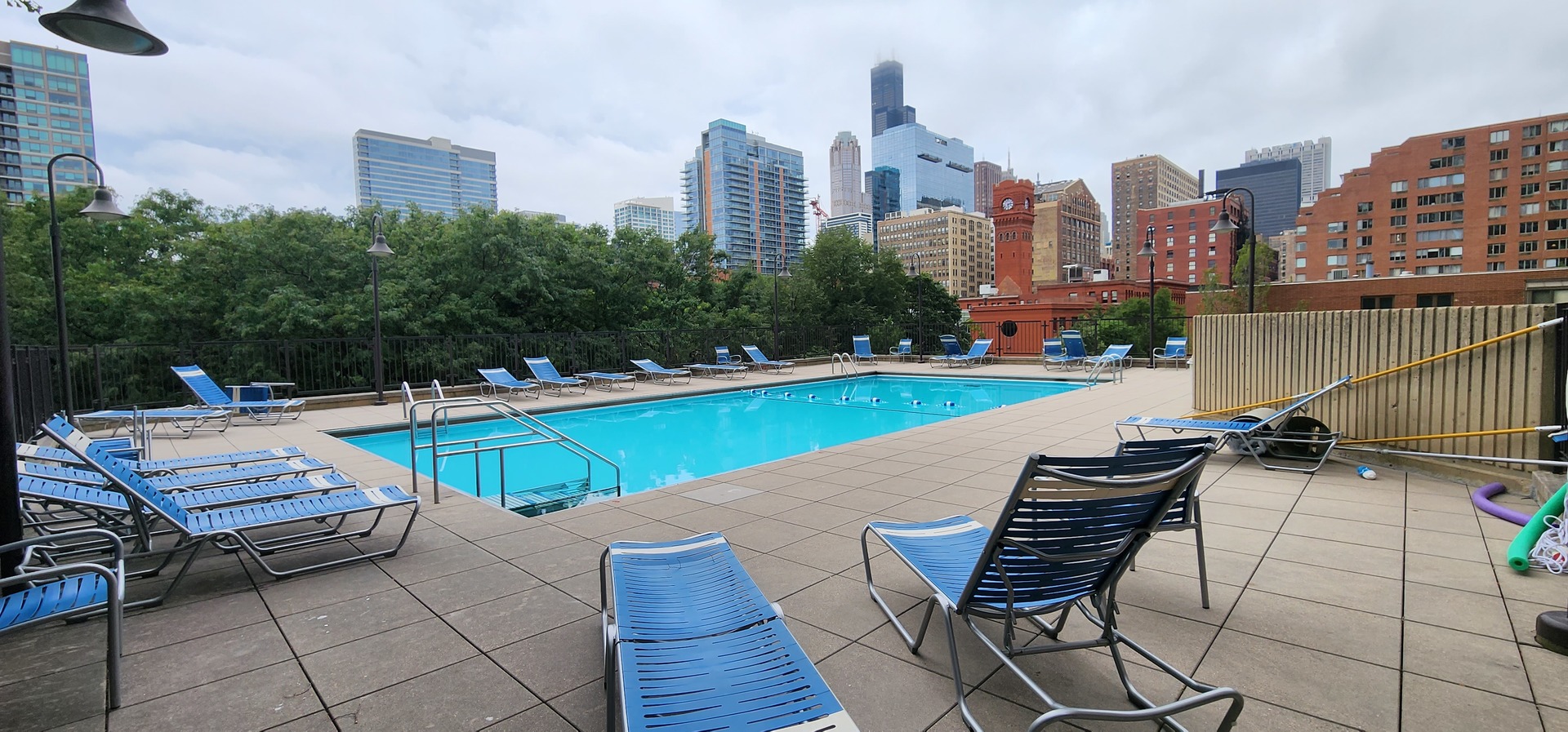 899 S Plymouth Court Unit: 1007