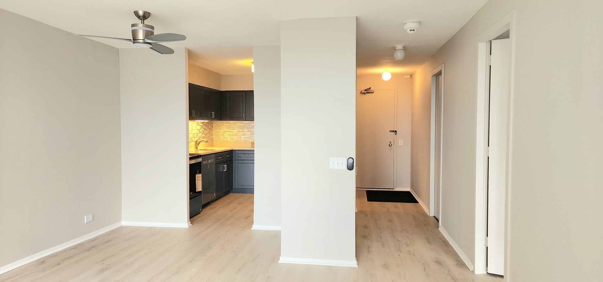 899 S Plymouth Court Unit: 1007