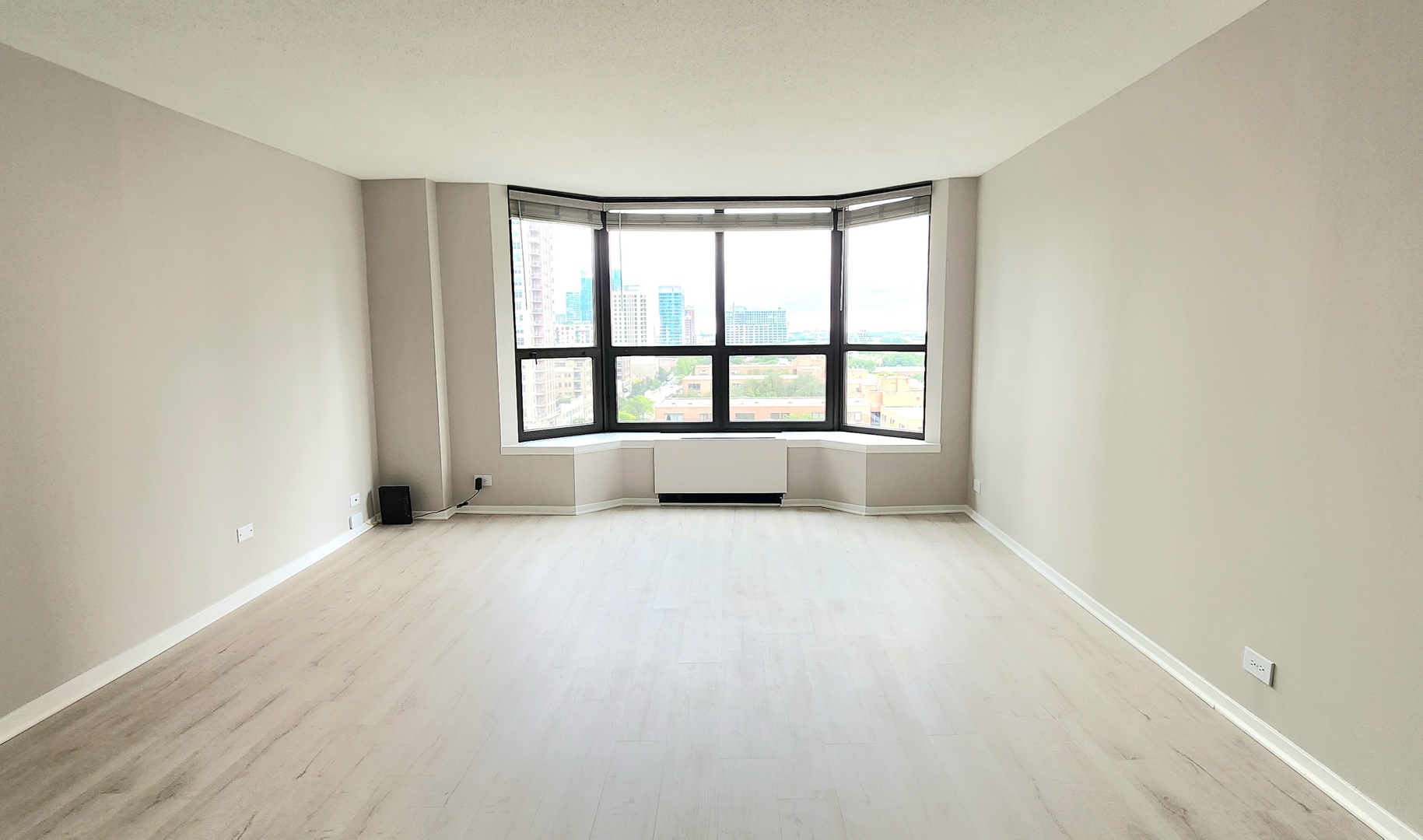 899 S Plymouth Court Unit: 1007