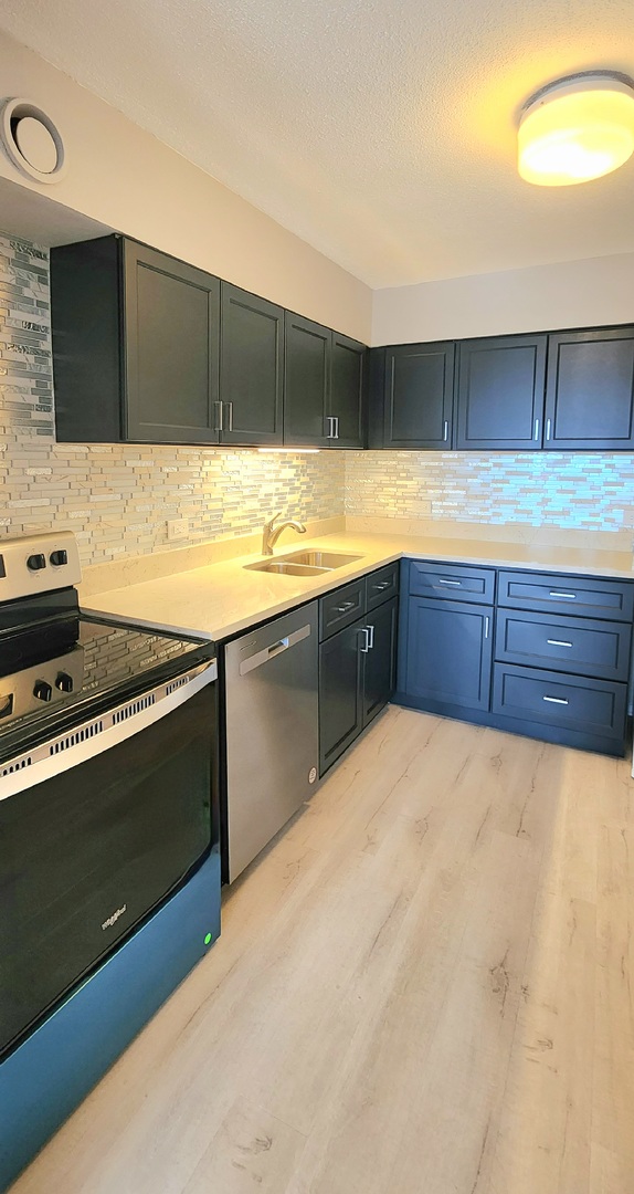 899 S Plymouth Court Unit: 1007