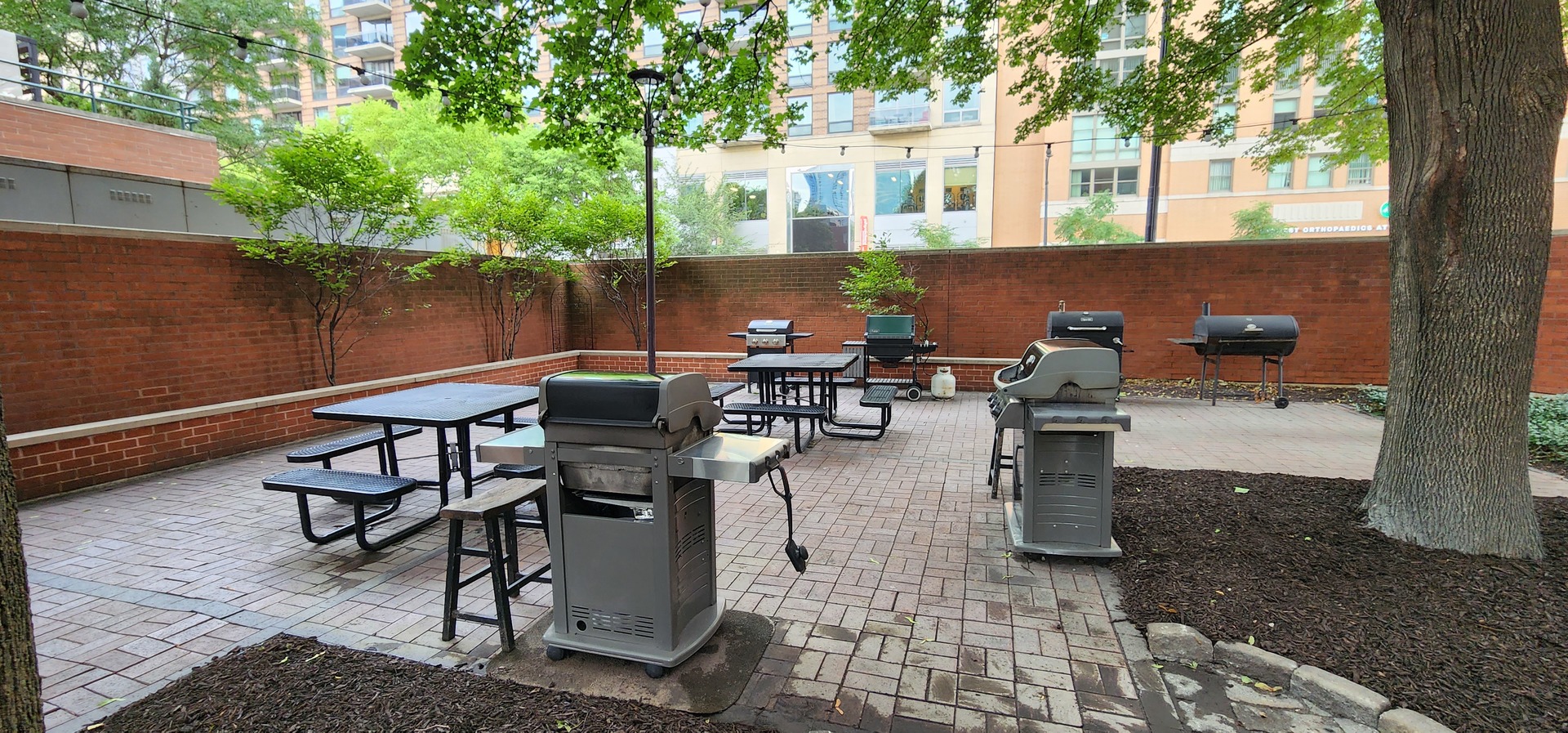 899 S Plymouth Court Unit: 1007