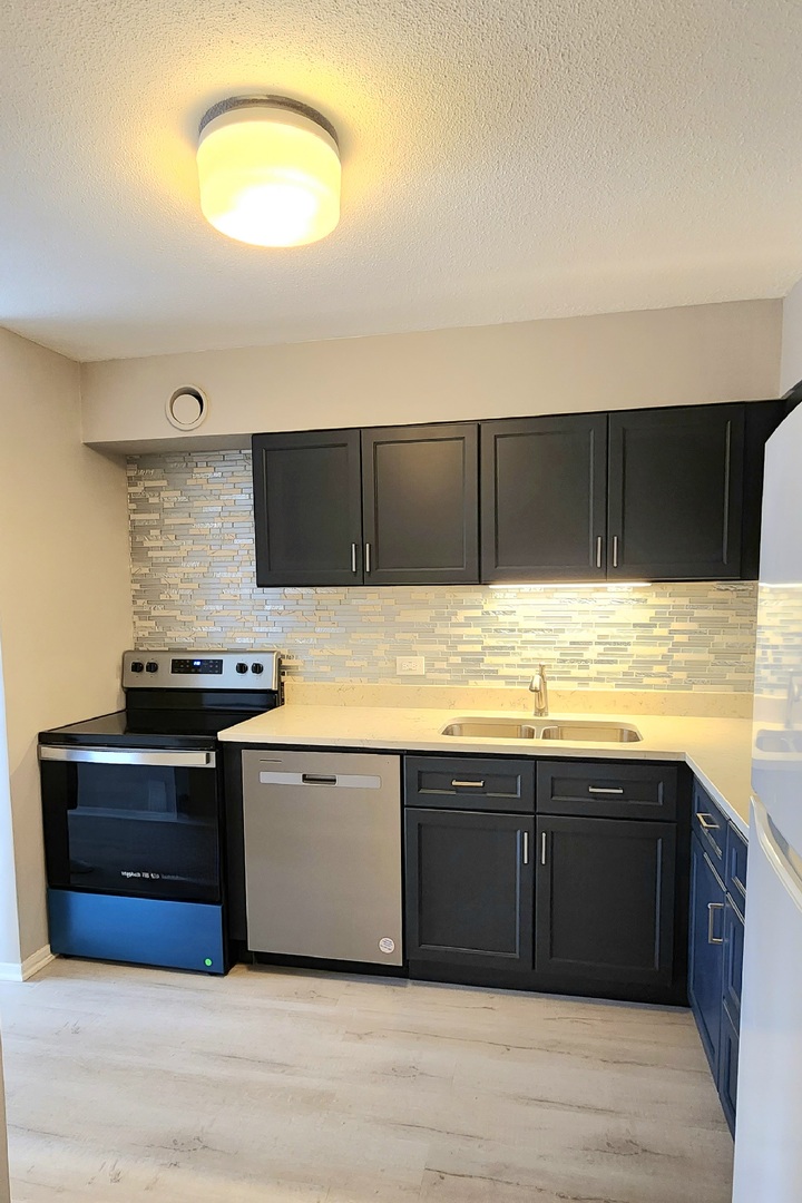 899 S Plymouth Court Unit: 1007