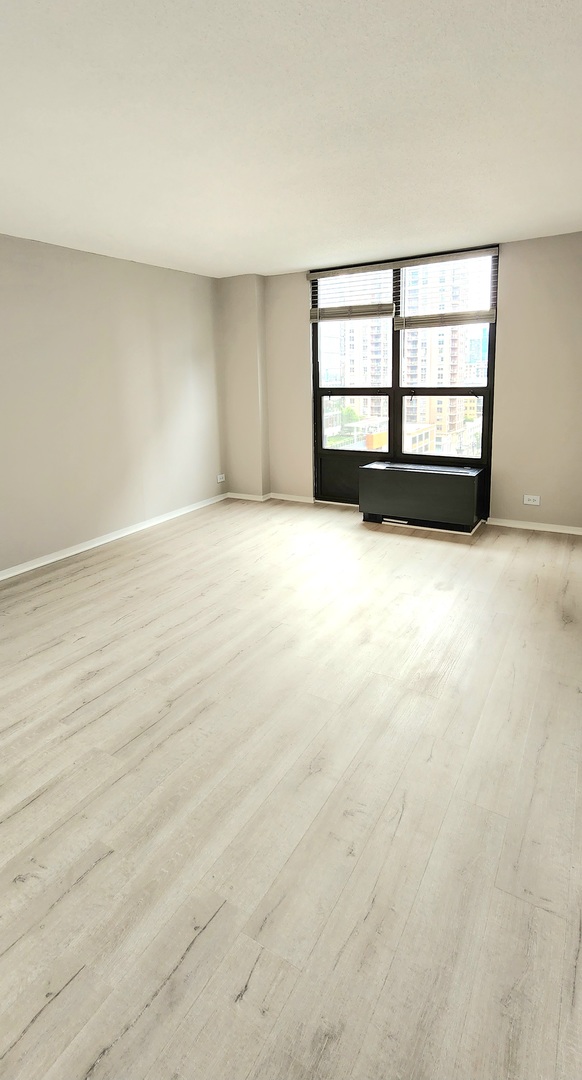 899 S Plymouth Court Unit: 1007