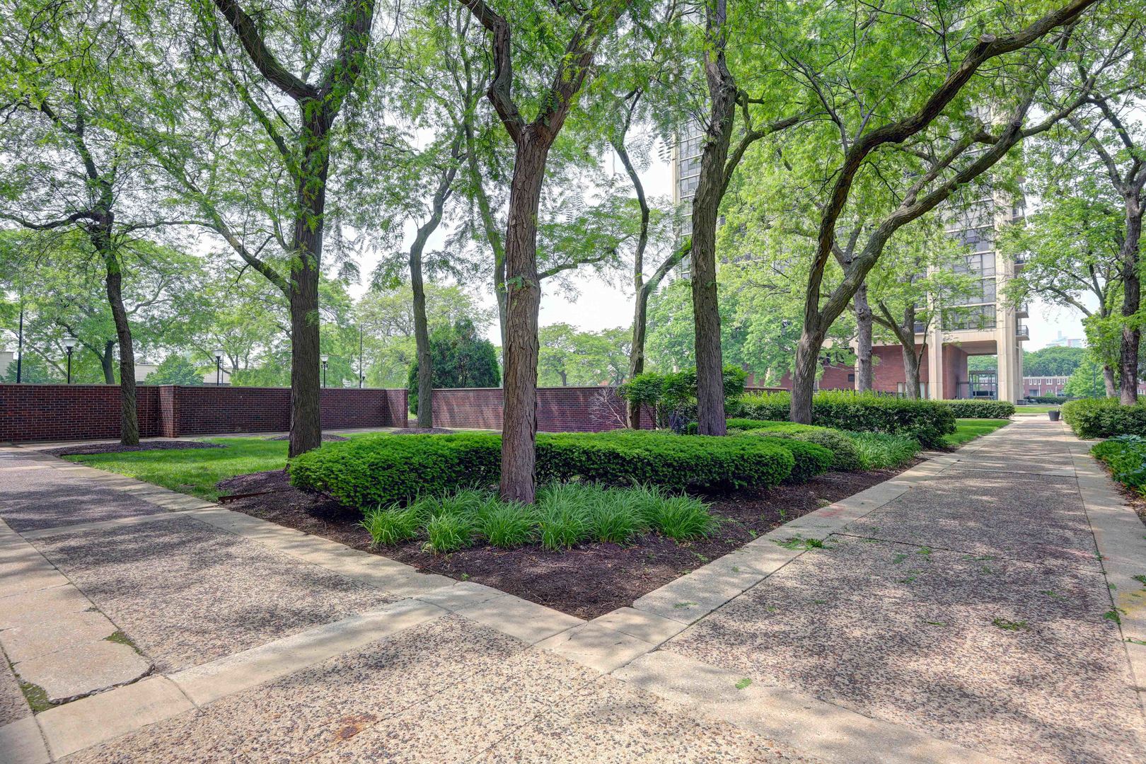 2941 S Michigan Avenue Unit: 305