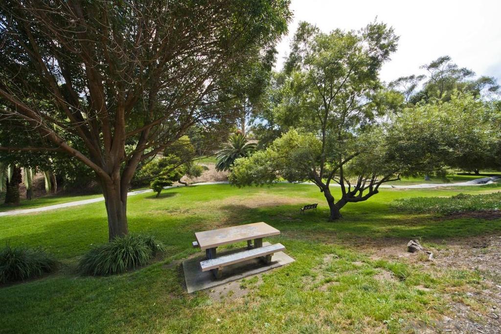 1233 Caminito Septimo