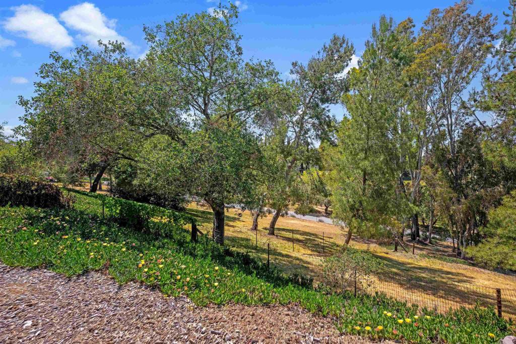 5221 Olive Hill Road