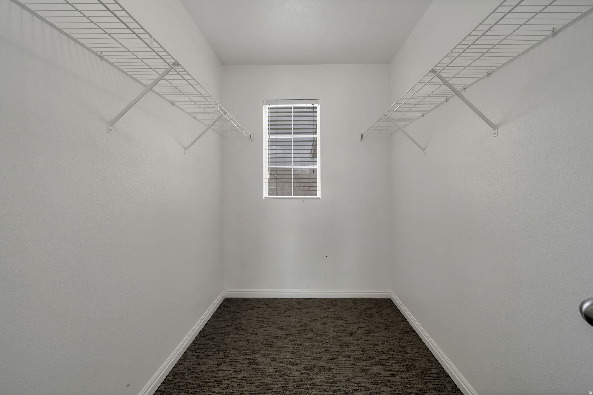 13503 S LEAF WING LN