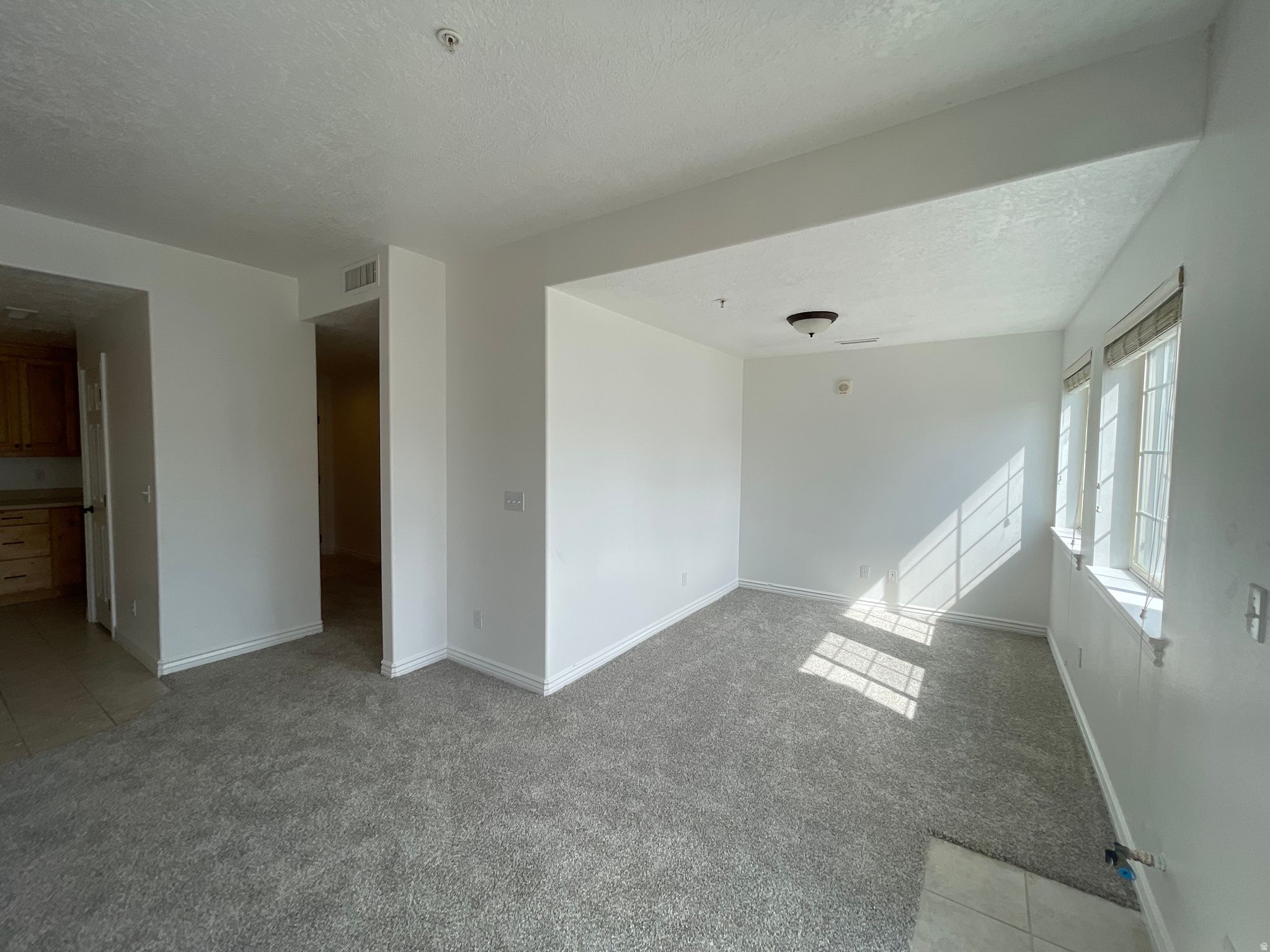 11085 S GRAPE ARBOR PL #102