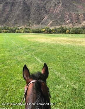 2095 County Road 245