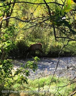 2095 County Road 245