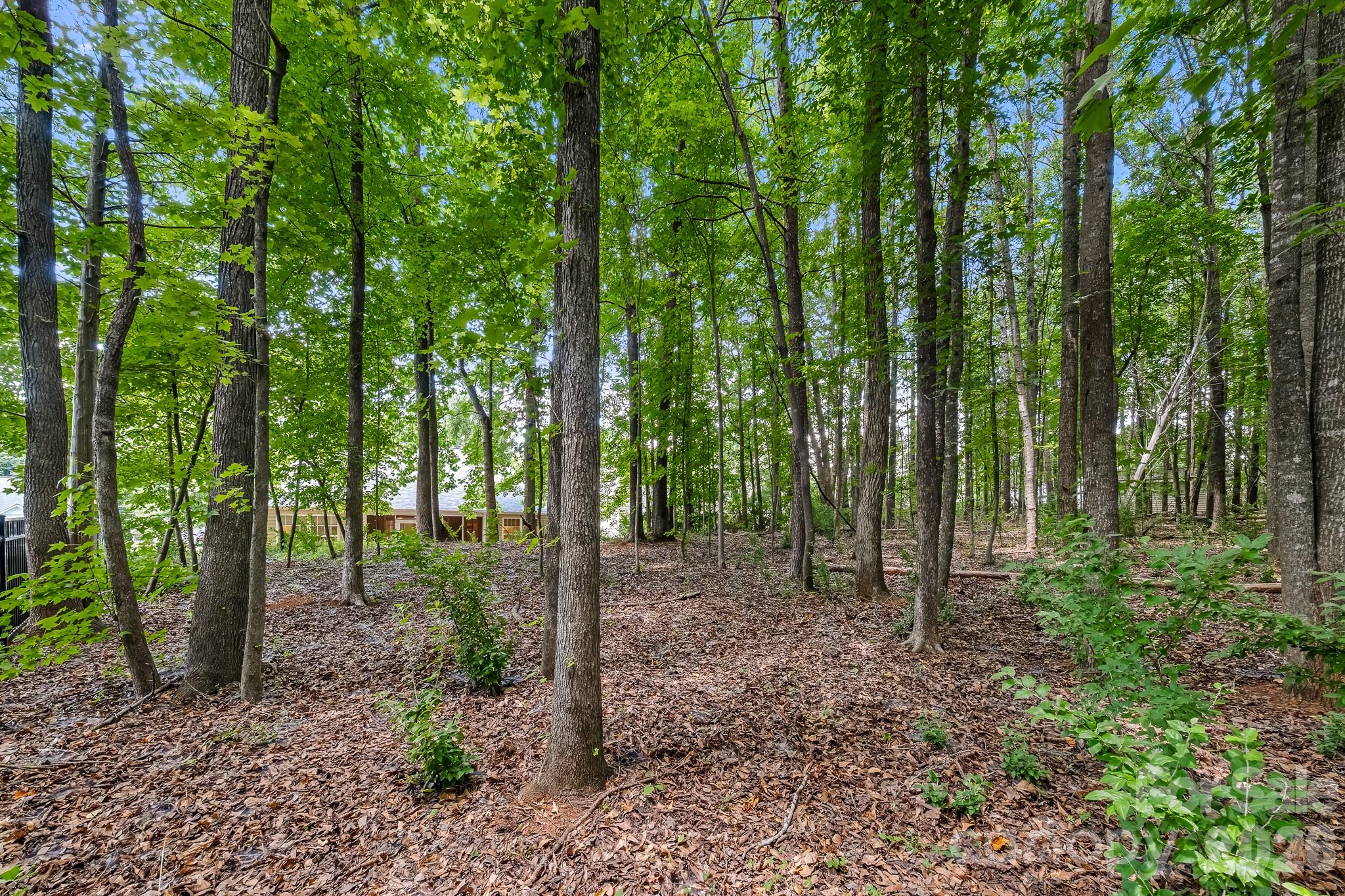 1437 Deer Forest Drive