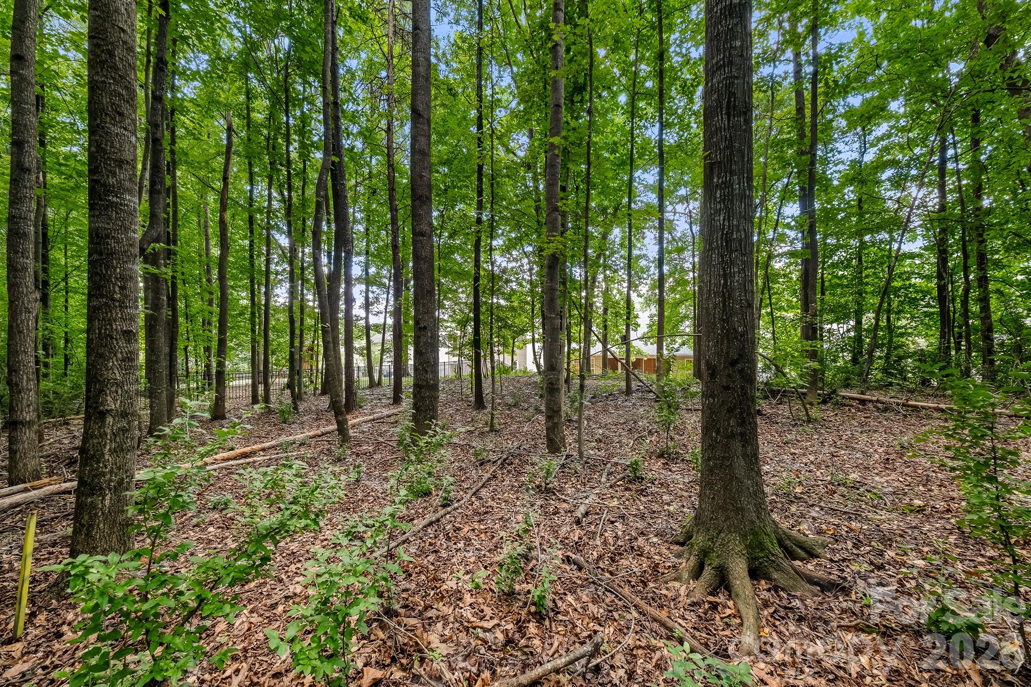 1437 Deer Forest Drive